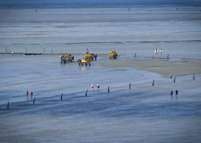 Strandhochhaus Sf06 *